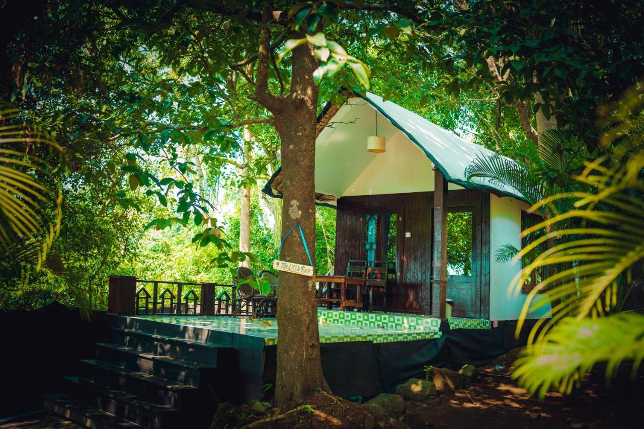 La La Land Resort Goa By Spicy Mango Палолем Екстер'єр фото